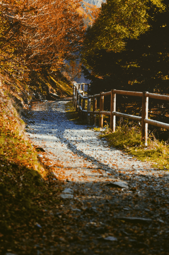 true-path