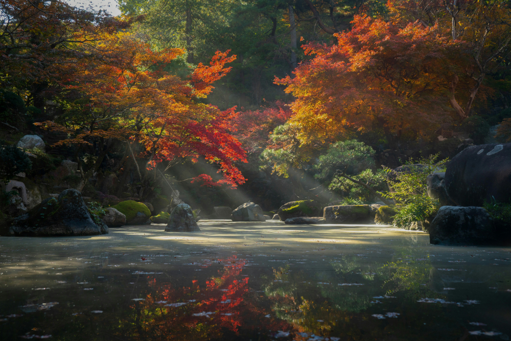 calm nature